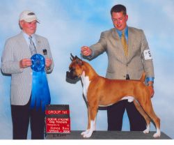 Boxer - The Breed Archive